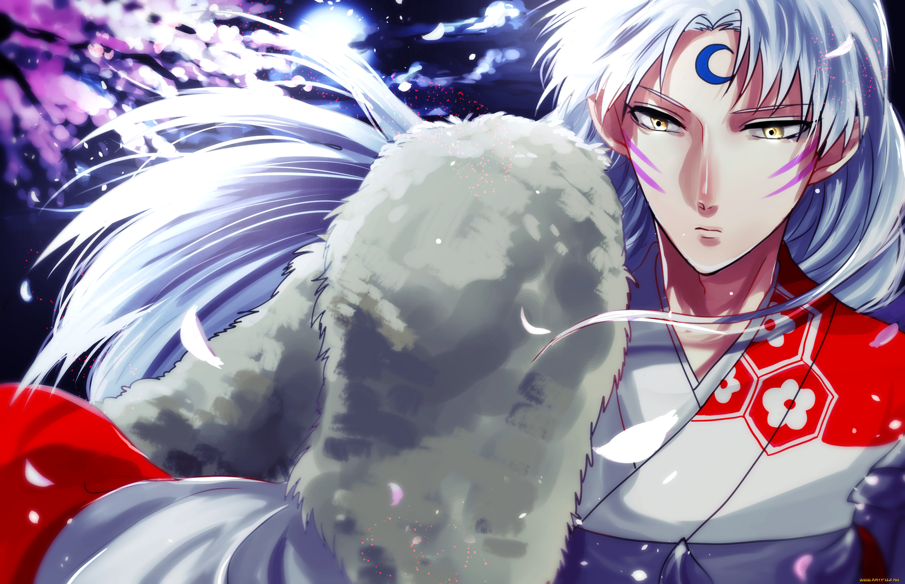 , inuyasha, 